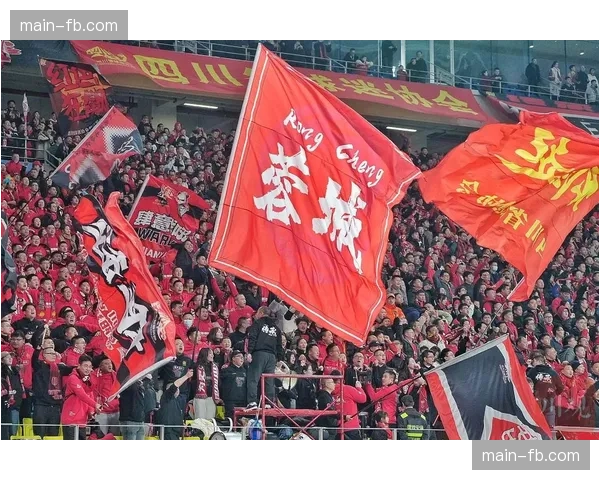 成都蓉城新援拜合拉木：从深圳到成都的蜕变之路